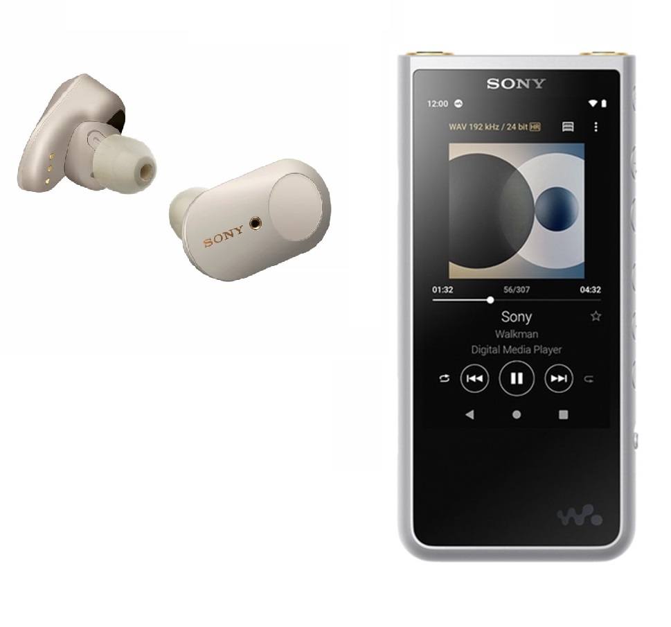 Комплект персонального аудио Sony Walkman NW-ZX507 silver + WF-1000XM3  silver - купить в Санкт-Петербурге в интернет-магазине Pult.ru