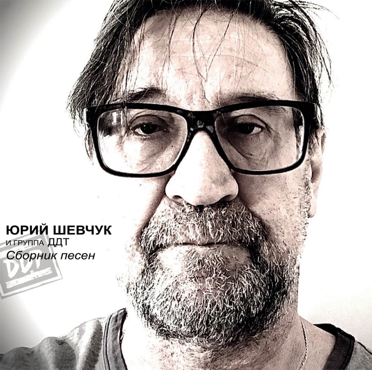 Виниловая пластинка ДДТ и Юрий Щевчук - Сборник Песен (Grey Vinyl) (2LP) -  купить в Санкт-Петербурге в интернет-магазине Pult.ru