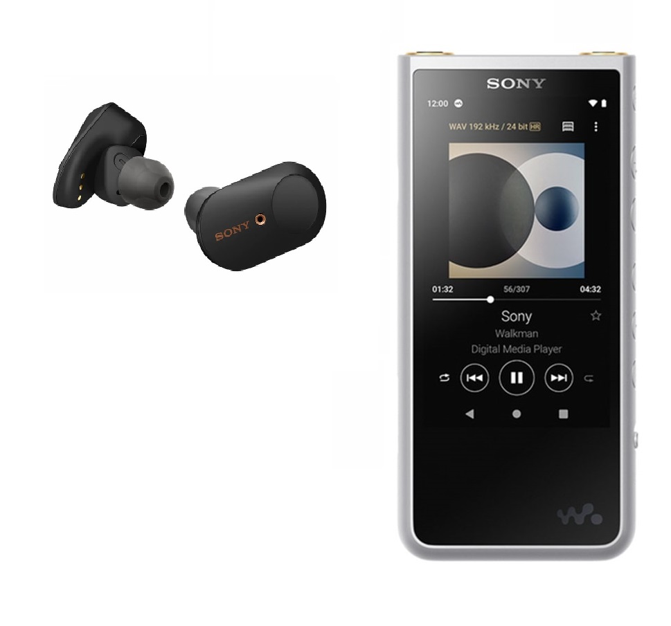 Комплект персонального аудио Sony Walkman NW-ZX507 silver + WF-1000XM3  black - купить в Санкт-Петербурге в интернет-магазине Pult.ru