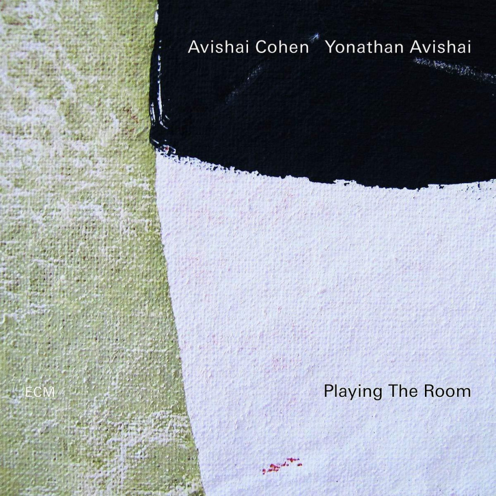 Avishai Cohen / Yonathan Avishai — Playing The Room